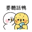 小鴨幾2 12