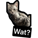 Wat?