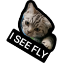 SEE FLY