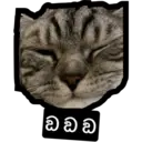ඞ ඞ ඞ