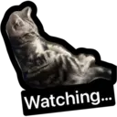 Watching...