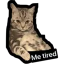 Me tired