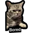Bored