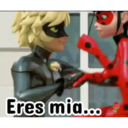 Ladybug 2 amor MOVI. 29