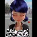 Ladybug 2 amor MOVI. 16
