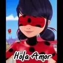 Ladybug 2 amor MOVI. 27