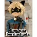 Ladybug 2 amor MOVI. 20