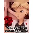 Ladybug 2 amor MOVI. 12