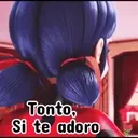 Ladybug 2 amor MOVI. 30
