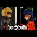 Ladybug 2 amor MOVI. 19