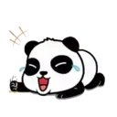Panditas ( ⁩1 )Movi 20