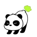 Panditas ( ⁩1 )Movi 17