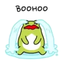 Frog 2 6