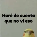 pájaro nojado 16