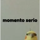 pájaro nojado 2