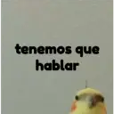 pájaro nojado 7