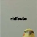 pájaro nojado 25