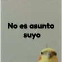 pájaro nojado 27