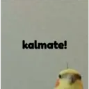 pájaro nojado 14