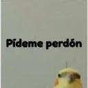 pájaro nojado 18