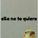 pájaro nojado 4