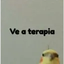 pájaro nojado 29