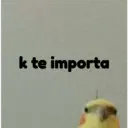 pájaro nojado 28
