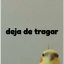 pájaro nojado 21