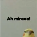 pájaro nojado 26