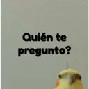 pájaro nojado 30