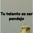 pájaro nojado 3