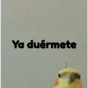 pájaro nojado 15