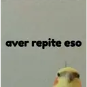 pájaro nojado 17