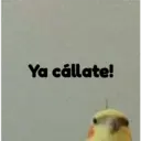 pájaro nojado 20