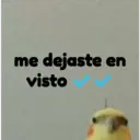 pájaro nojado 12