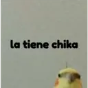 pájaro nojado 22