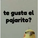 pájaro nojado 9