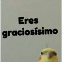 pájaro nojado 8