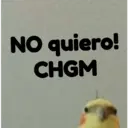 pájaro nojado 6