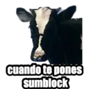 cuando te pones sumblock