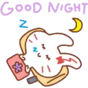 RiBbON  RaBbIT 24