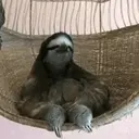 Animales Mix ️ 11
