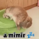 Animales Mix ️ 27