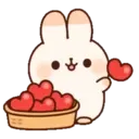 cuddle rabbit 12