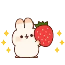 cuddle rabbit 21