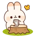 cuddle rabbit 6