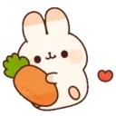 cuddle rabbit 13