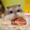 Hámsters en mov 3. 5