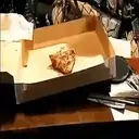 ?PREDATOR VS ALIEN MOV 1 12