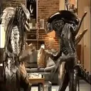 ?PREDATOR VS ALIEN MOV 1 14